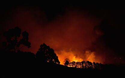 Nuova Zelanda nella morsa degli incendi