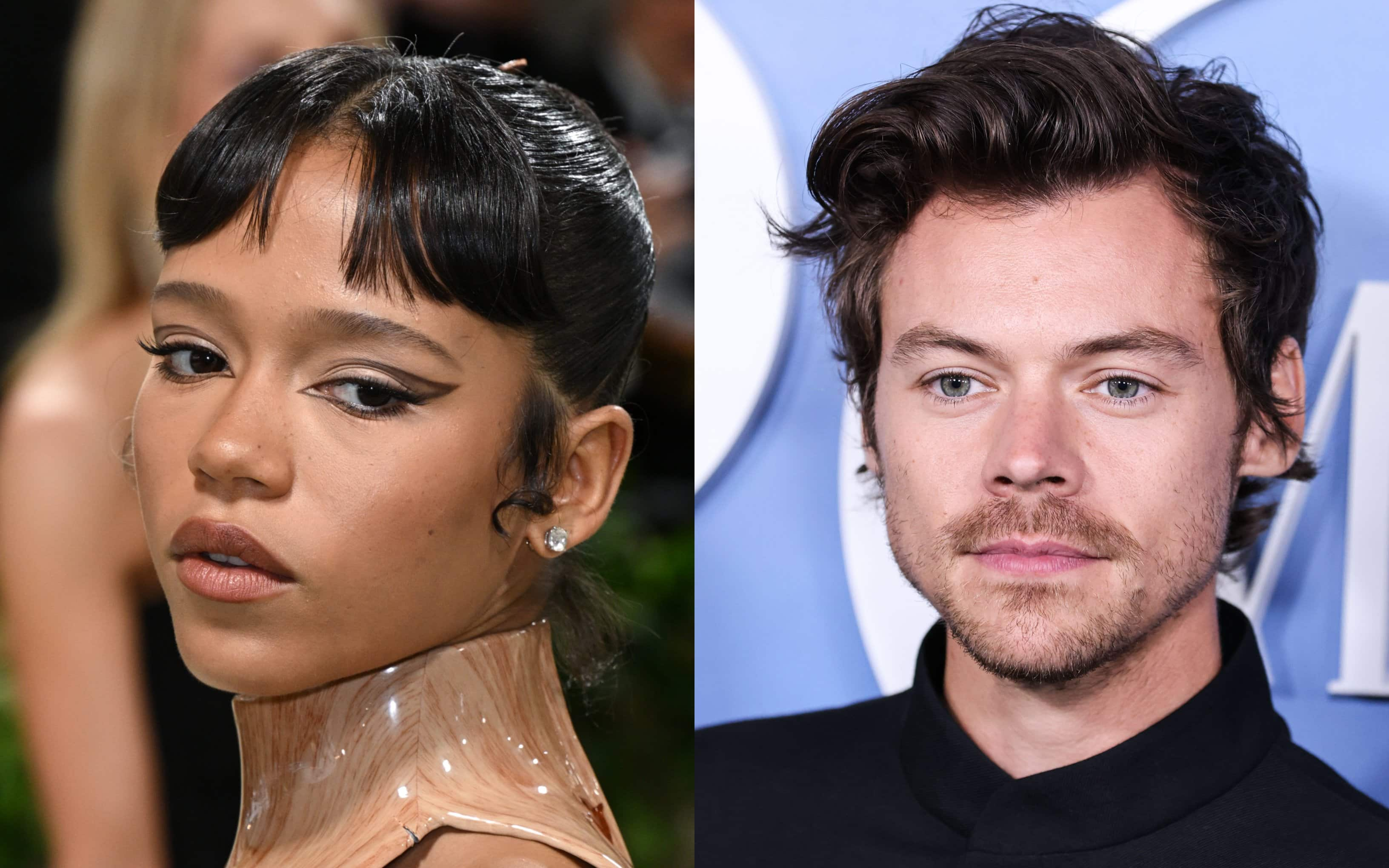 Harry Styles e Taylor Russell si sarebbero lasciati | Sky TG24