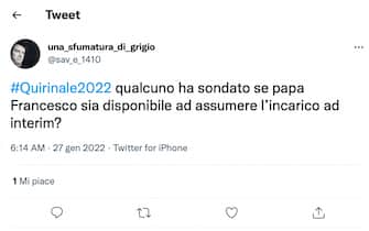 meme quirinale