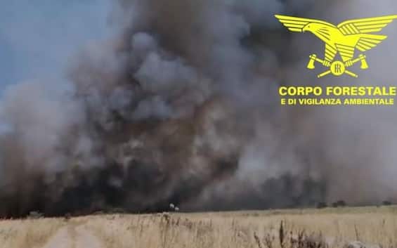 Incendio vicino all