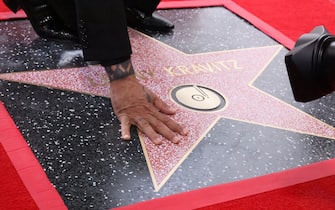 Lenny Kravitz - Figure 4