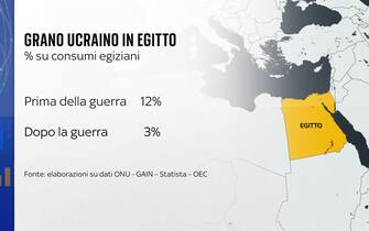 Le grafiche di Numeri sul grano