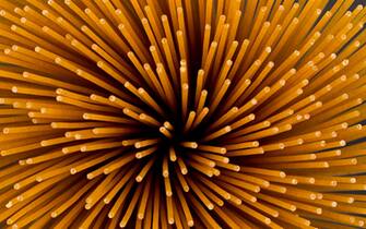 Flower of whole wheat spaghetti gathered in a bunch, view from top on stone plate