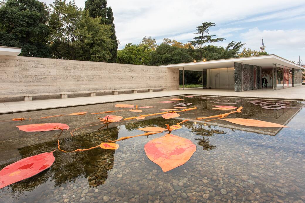 Diàlegs amb la Natura. Photo by Anna Mas
