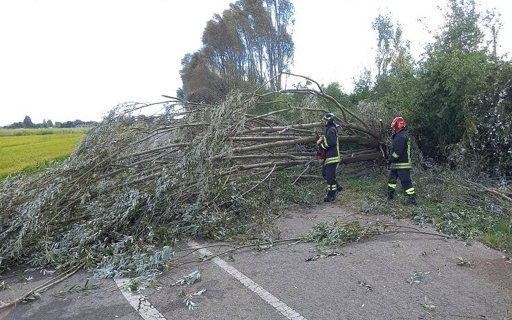 pavia - danni maltempo nel Pavese, in particolare a Marzano - foto torres 