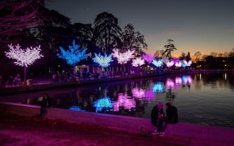 Luci colorate sugli alberi del Parco del Retiro a Madrid