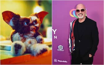 Howie Mandel