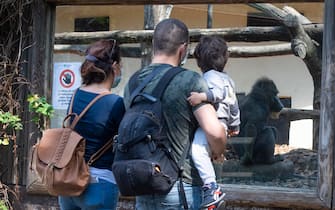 Famiglie al primo giorno di riapertura al pubblico del Bioparco con nuove modalità di accesso per garantire il rispetto del distanziamento sociale e della sicurezza., Roma, 29 maggio 2020. ANSA/CLAUDIO PERI