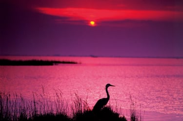 Il tramonto evocativo