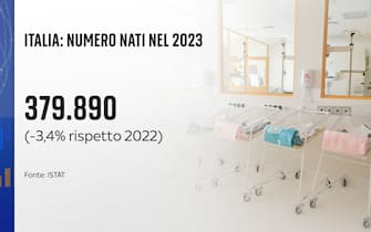 Natalità