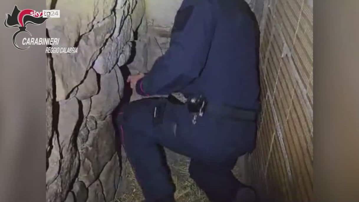 Reggio Calabria, scoperta serra marijuana in bunker a Platì