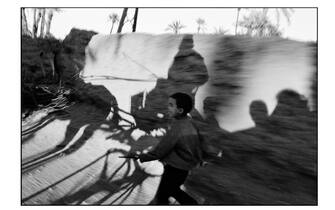 serie Aldo Mondino / 28, 1986 (carrozza nell'ombra)