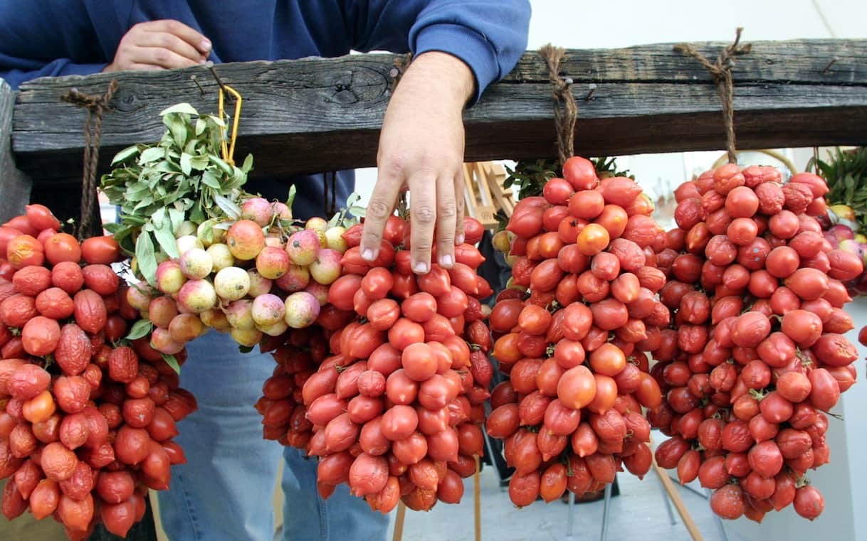 Epidemia di salmonella e l'ipotesi dei pomodori siciliani: cosa sapere