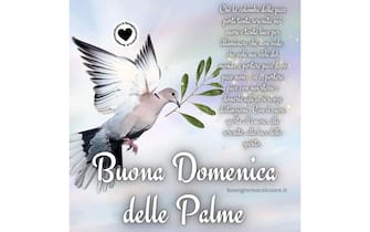 auguri domenica delle palme