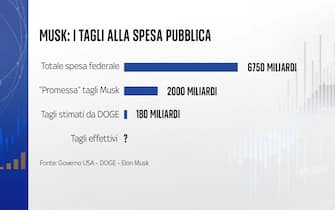musk: i tagli alla spesa pubblica
