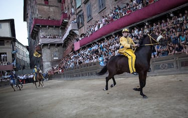 Palio dell'Assunta, prova generale vinta dalla Chiocciola. I cavalli dopo il casato (Federico Scoppa/Fotogramma, Siena - 2013-08-16) p.s. la foto e' utilizzabile nel rispetto del contesto in cui e' stata scattata, e senza intento diffamatorio del decoro delle persone rappresentate