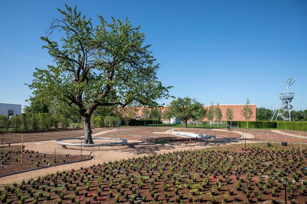 Vitra-Piet-Oudolf-Garten-courtesy-Vitra-Campus.jpg