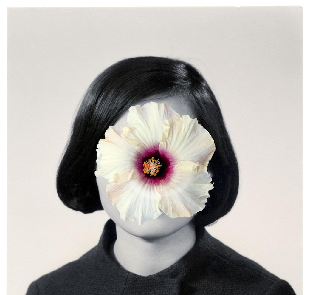 Lee Grant, Ancestral Constellations, 2011-2026