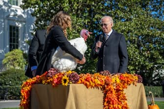 Joe Biden, come da tradizione, ha graziato due tacchini alla Casa Bianca in vista del Thanksgiving: “Non so ancora quale sarà il verdetto”, ha scherzato Biden prima di concedere il “perdono presidenziale”. “I voti sono stati contati, non ci sono brogli. L’unica onda rossa quest’anno sarà la salsa di mirtilli che il mio cane Commander spargerà sul pavimento”, ha detto Biden
