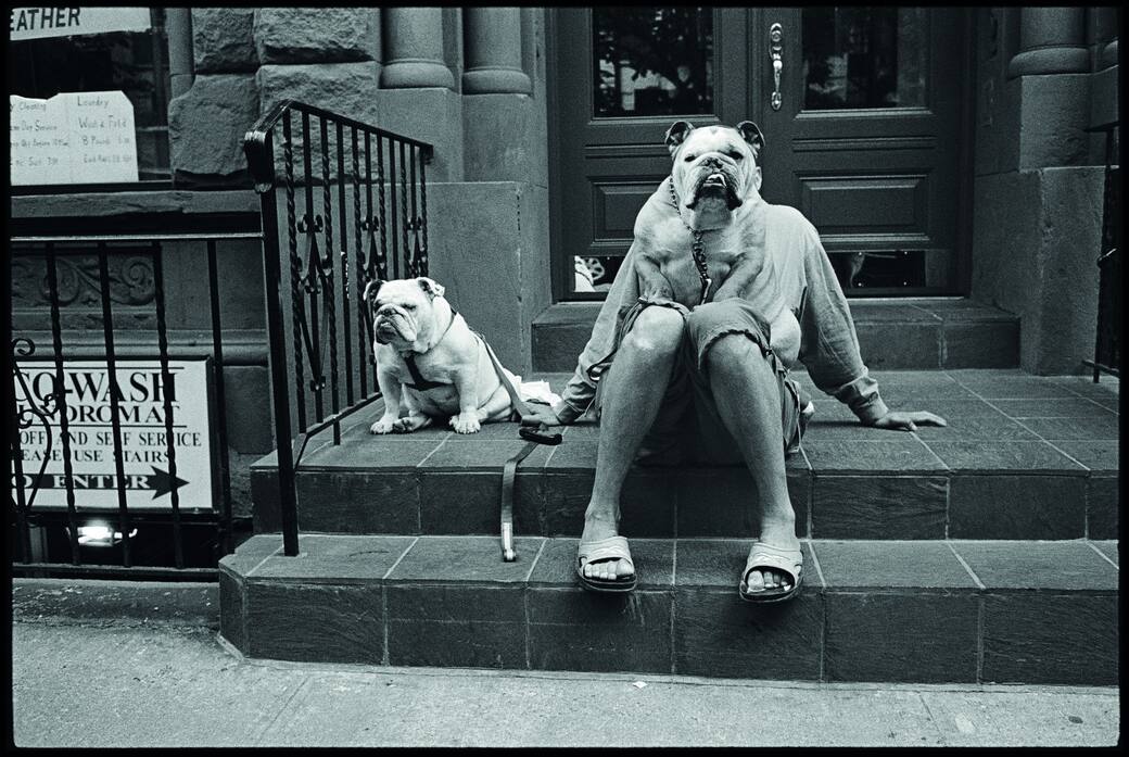 Elliott Erwitt, USA. New York City, 2000. 40x50 cm © Elliott Erwitt Private Collection