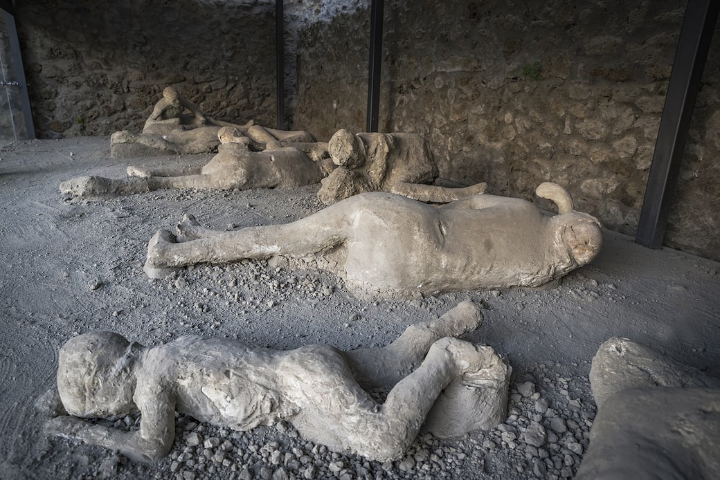 Orto dei fuggiaschi. Credit Parco Archeologico di Pompei