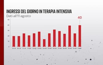 Ingressi in terapia intensiva