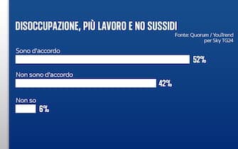 Grafiche Quorum/YouTrend per Sky TG24 sul lavoro