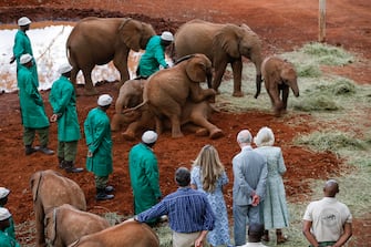 epa10952853 Britain's King Charles (C-R) and Queen Camilla (2-R) visit the Sheldrick elephant orphanage, on the outskirts of Nairobi, Kenya, 01 November 2023. Britain's King Charles III and his wife Queen Camilla are on a four-day state visit starting on 31 October 2023, to Nairobi and Mombasa. This will be the first official visit by Their Majesties to an African nation and the first to a commonwealth member state since their coronation in May 2023.  EPA/THOMAS MUKOYA / POOL