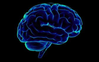 "Scanning of a human brain on side view and isolated on black background, great to be used in medicine works and health."