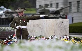 remembrance day
