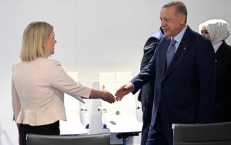 Recep Tayyip Erdogan, Magdalena Andersson