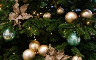 albero natale