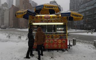 tempesta di neve usa new york