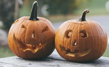 Agricola delle Meraviglie a Vimodrone (MI)