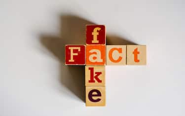Fake Fact Concept with wooden blocks casting a shadow on a white surface.
