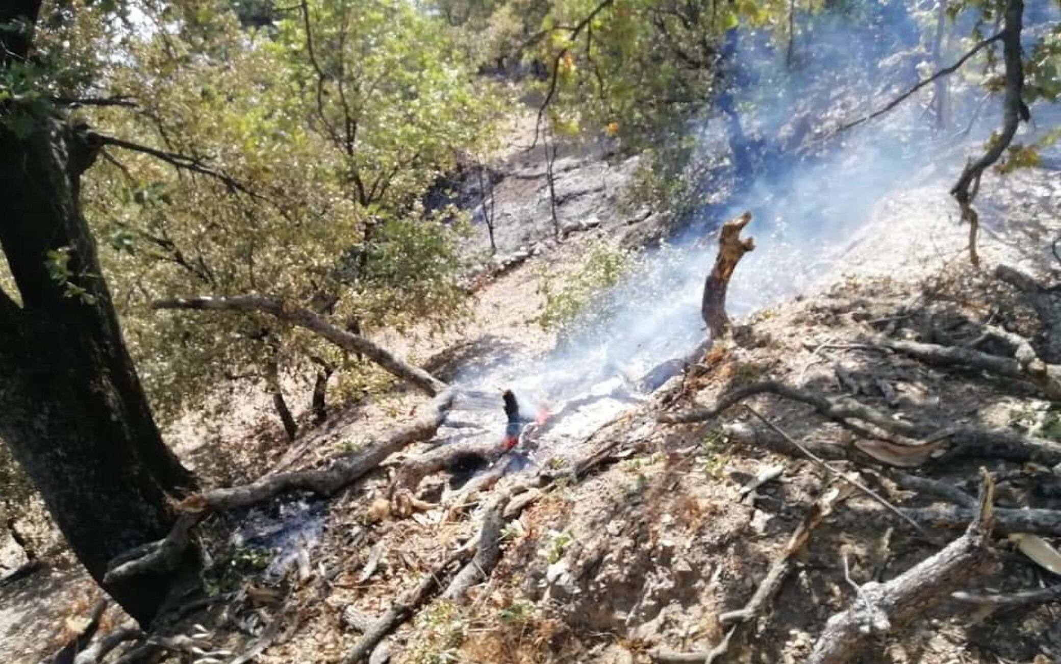 Incendi: volontari protezione civile, inneschi a Castelmola