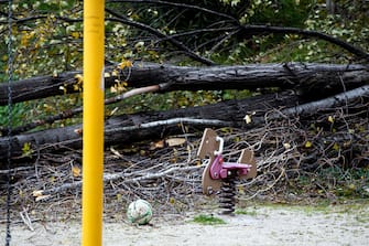 L'albero crollato nel parco Livio Labor a Colli Aniene, a Roma Agenti di Polizia sul luogo in cui una donna è morta, schiacciata da un albero caduto per il forte vento, in via Cesare Massimo a Colli Aniene, Roma, 23 dicembre 2024. ANSA/ ANGELO CARCONI