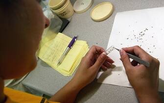 west nile virus