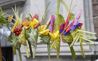 Domenica delle Palme
