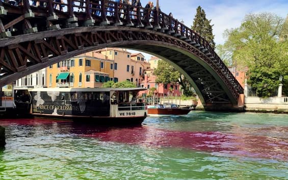 Venezia, il Canal Grande colorato di verde e rosso: bloccati due turisti francesi