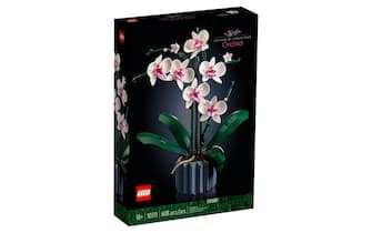 San Valentino-lei-orchidea lego - 1