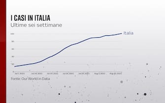 L'andamento dei casi in Italia nelle ultime 6 settimane
