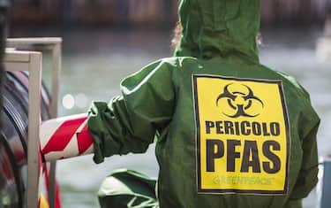 Carta igienica contaminata da sostanze tossiche per sempre: i rischi per  la salute