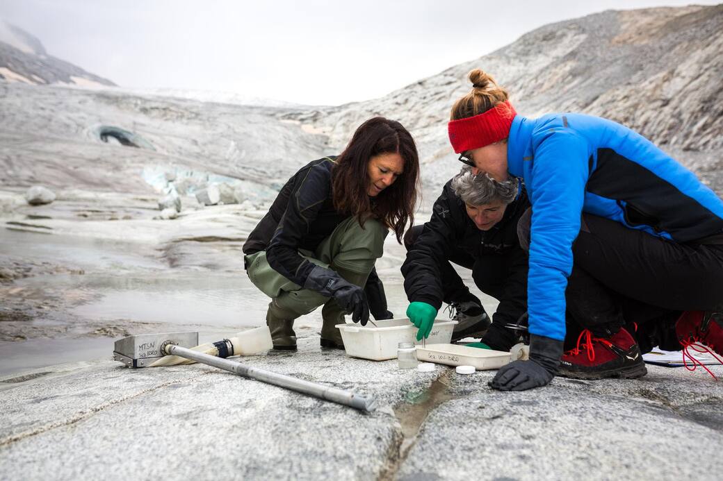 Analisi sul campo (Mandrone) a cura delle ricercatrici MUSE (Archivio MUSE, fotografa Giulia Curti)