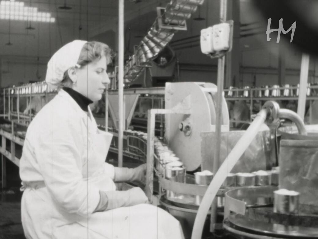 Conservazione pere Williams. Fondo Giulio Colombani, 1947, Portomaggiore