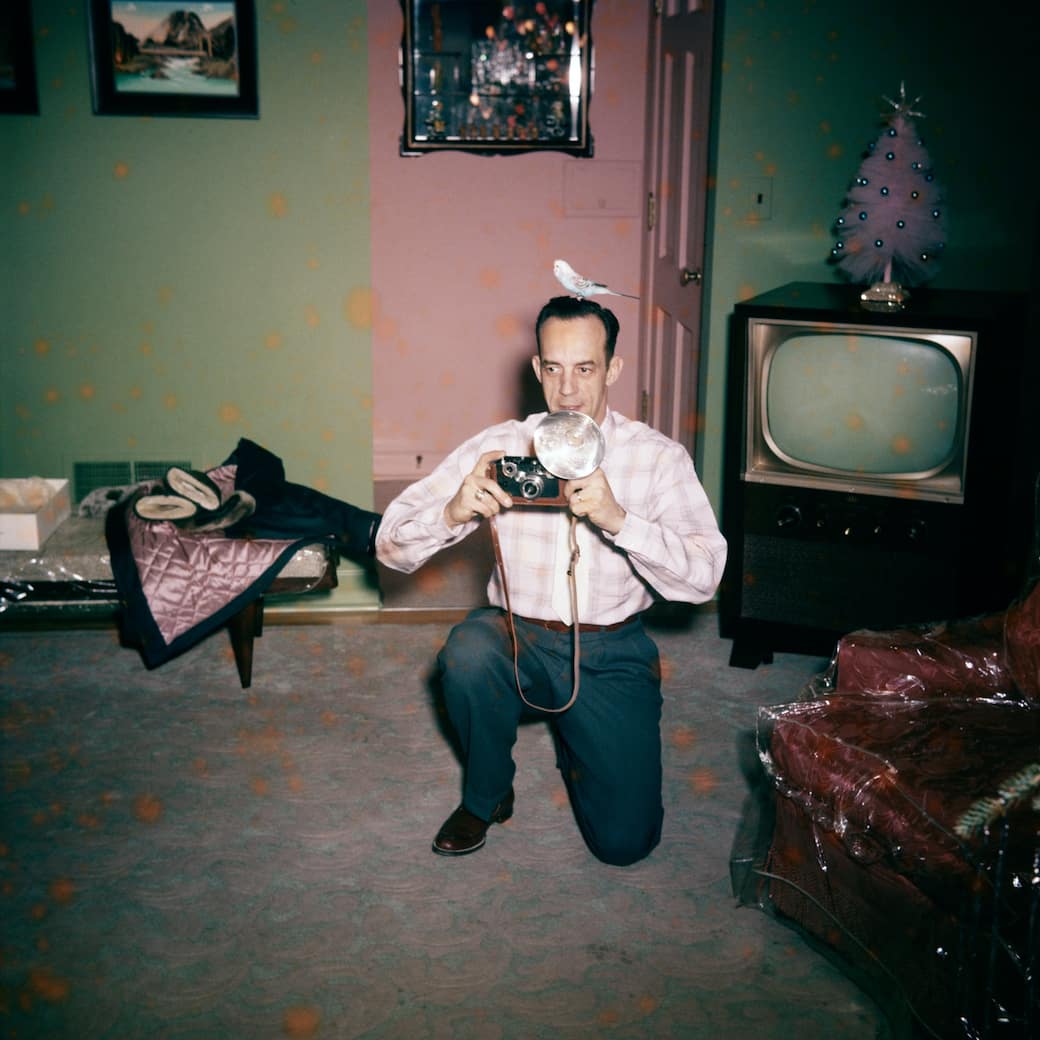 COTM_Award_2022_©_THE_ANONYMOUS_PROJECTLEE-_SHULMAN.jpeg