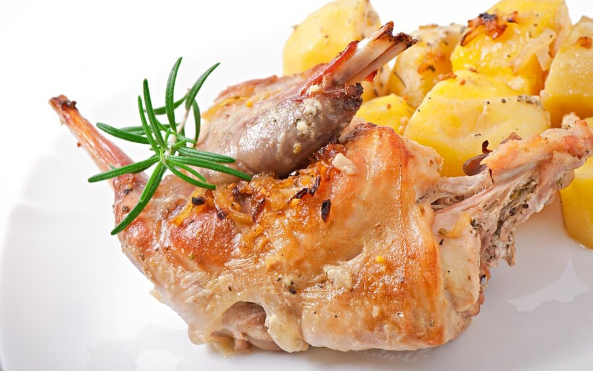 coniglio al forno