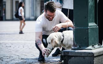 Un uomo offre acqua a un cane