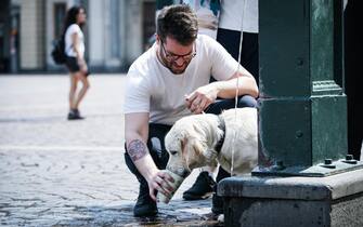 Un uomo offre acqua a un cane