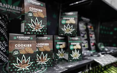 Prodotti realizzati con cannabis light e derivari dalla canapa in un negozio di Roma, 09 maggio 2019. 
ANSA/RICCARDO ANTIMIANI
